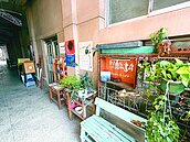 突公告整修、工期10個月　嘉義文創園區業者措手不及