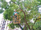 北市防颱…河濱遊具撤離　抽水機待命