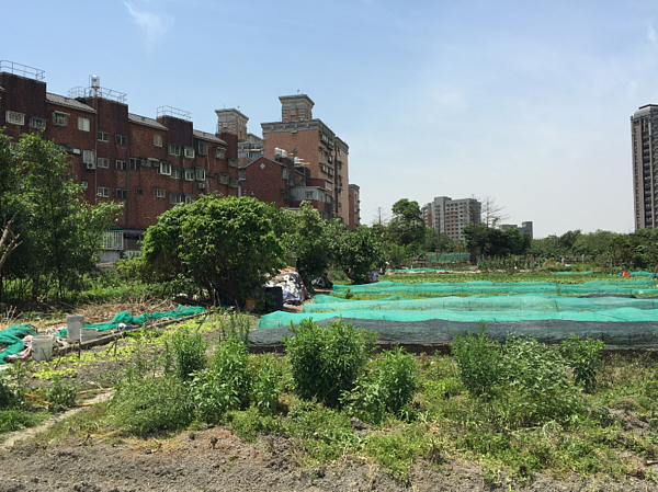 三峽國光段社會住宅預定地。（翻攝自新北市城發局網站）