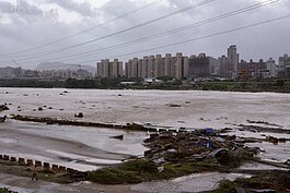 蘇迪勒颱風造成溪水暴漲，新店溪沿岸一片狼藉。