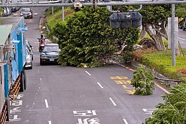 蘇迪勒強風吹垮路樹，所幸無人傷亡，但車輛經過困難。