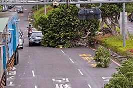 蘇迪勒強風吹垮路樹，所幸無人傷亡，但車輛經過困難。