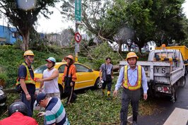 蘇迪勒造成許多路樹倒塌，環保局車趕緊出動，緊急清理路面。