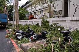 蘇迪勒造成許多路樹倒塌後，壓倒了路邊停放的機車。