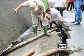 東石海堤塌陷　竟裂半個人高