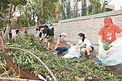 「鋸樹鋸到手軟」　北市出動900人清不完