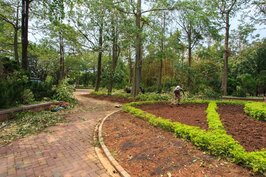 園藝工人正忙著挖除被颱風肆虐破敗的園藝造景，準備種上新的花草以美化公園。只是耕植容易復舊卻很困難。