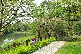 賞鳥者在颱風過後前往關心現場居住的鳥類情況。