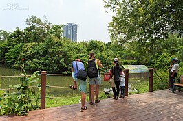 賞鳥的遊客。