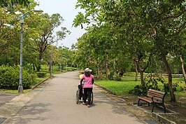 推著輪椅的外傭。