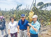 農損嚴重　雲縣府盼從速補助