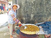 龍眼掉滿地　果農忙烘乾