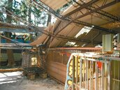 颱風重創台中動保場　重建需數百萬