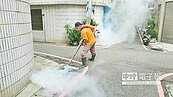 桃園疑現本土登革熱　快清積水