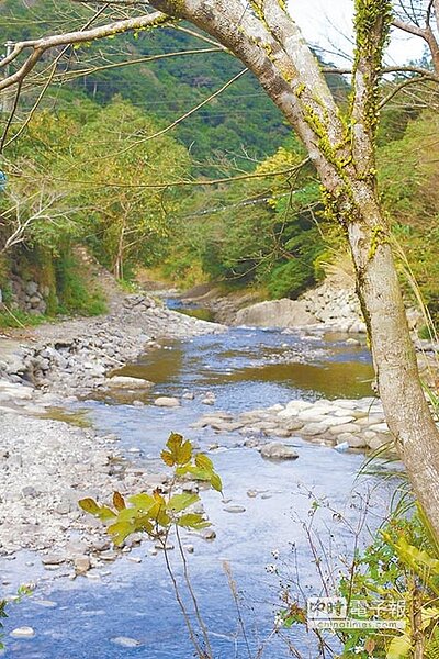 千戶傳奇旁原本的優美潔淨溪流,突然成為洪水猛獸,吞噬一切。(陳志東攝)
