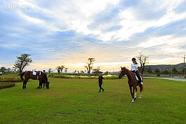 清晨的金色陽光開始初撒大地，騎著馬緩緩的在園區中散步，是許多人退休後十分期望的慢活生活。