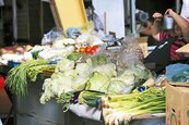 中元+颱風　北市啟動蔬菜平價機制