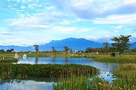 台開花八年的時間在迴瀾灣進行整地與開發，現在已經略見規模。邱復生說這片休憩園地不僅是迴瀾灣樂活市居民的花園，也是所有到訪花蓮遊憩的觀光客一定要來的地方。