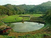 蘇建鈞：青年回農　卻租不到地