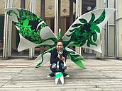 藝人入住恐怖民宿？跳蚤陪睡還蓋尿被