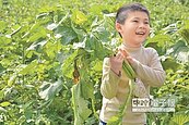 快樂採收　屏東熱博落幕