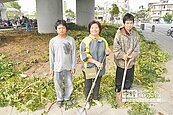 村長認養零碎土地10年　變身綠美化大地主
