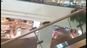 商場老鼠大膽　電扶梯當跑步機