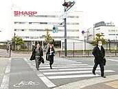 鴻夏戀簽約延宕　股價打臉