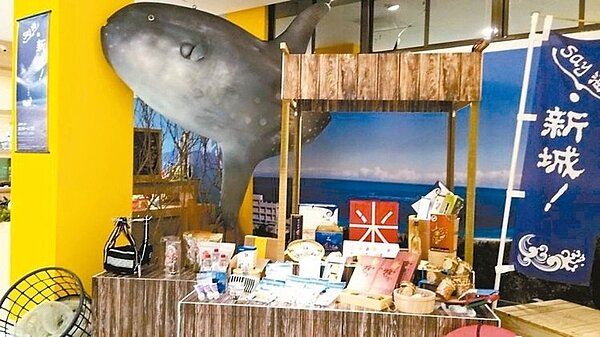 新城鄉公所與「後山山後故事館」合作,將於14日推出「say海!新城」特展。 記者游婉琪/攝影