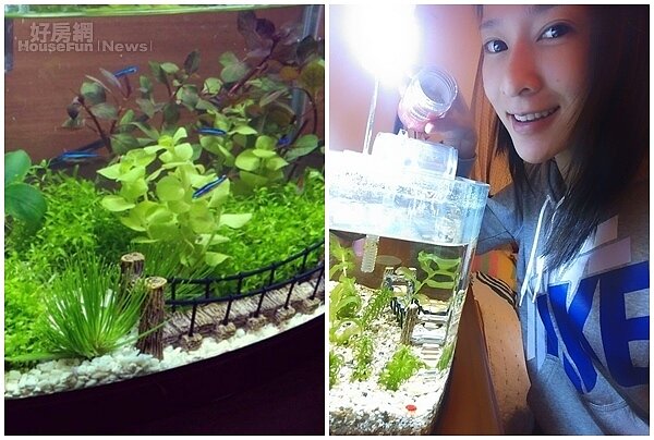 4.房門斜對角佈置了小魚缸，希望魚兒們能帶來好運氣。
5.Gigi宅在家最大興趣就是養魚，雖然要定期檢查水質、清洗水缸、更換造景，但她樂在其中。
