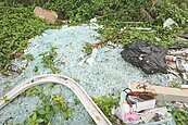亂倒猖獗　花蓮193縣道坡地堆滿垃圾