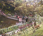 打造生態公園　把虎頭山變「陽明山」