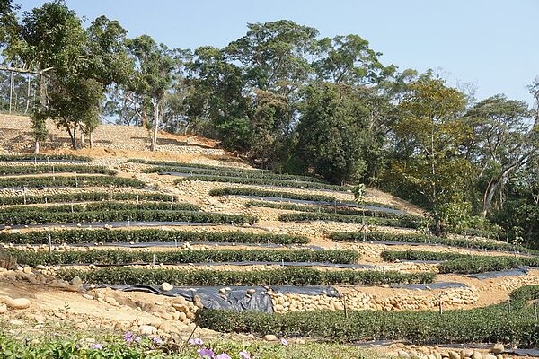台開集團澄清,全台土地建物均非紅色高潛勢區,全部都安全無虞。(圖/新埔智能生態園區,擷取自新竹縣政府)