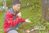 樹癌褐根病蔓延　校園拉警報