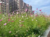高雄人快看！建物綠化二階補助開跑　每案最高80萬元