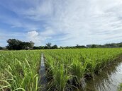賣同塊農地卻被多課百萬稅金！專家驚曝3大隱形地雷：這1取得日期是計算土增稅關鍵