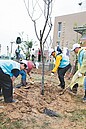 植樹護台灣　湖口打造綠園道