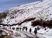 10大國人愛上網分享的森遊區　合歡山拿NO.1