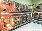 五股動物之家　議員建議設路標