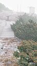 冷！周末台南以北10度　玉山積雪