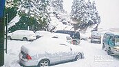 罕見三月雪　合歡山積雪20公分