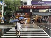 行人注意！「小綠人閃爍」新規上路　交通部最新「3大號誌狀態」一次看