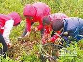 籌錢開畫展 學童賣無毒洋蔥