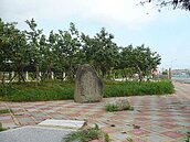 嘉市劉厝公園珍貴老榕樹感染　救老樹全市動起來
