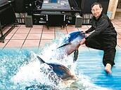 76歲雨天賦閒畫3D　海豚在客廳嬉戲