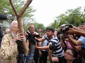 保育學者珍古德落實根與芽計劃　台南虎山國小種黃連木