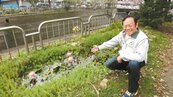 台中社區綠廊設生態池　養天敵滅蚊