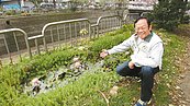 台中社區綠廊設生態池　養天敵滅蚊