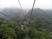 漲價2個月　貓纜多賺1600萬