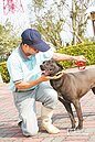 代養流浪犬　月補助2000元